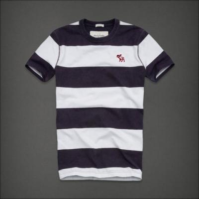 Hollister Men Shirts-363